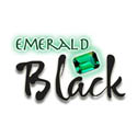 Horse Sense Emerald Black logo