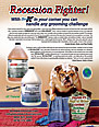 Groomer To Groomer AD for July-August 2009 for Grimeinator and The Solution