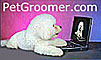 PetGroomer.com
