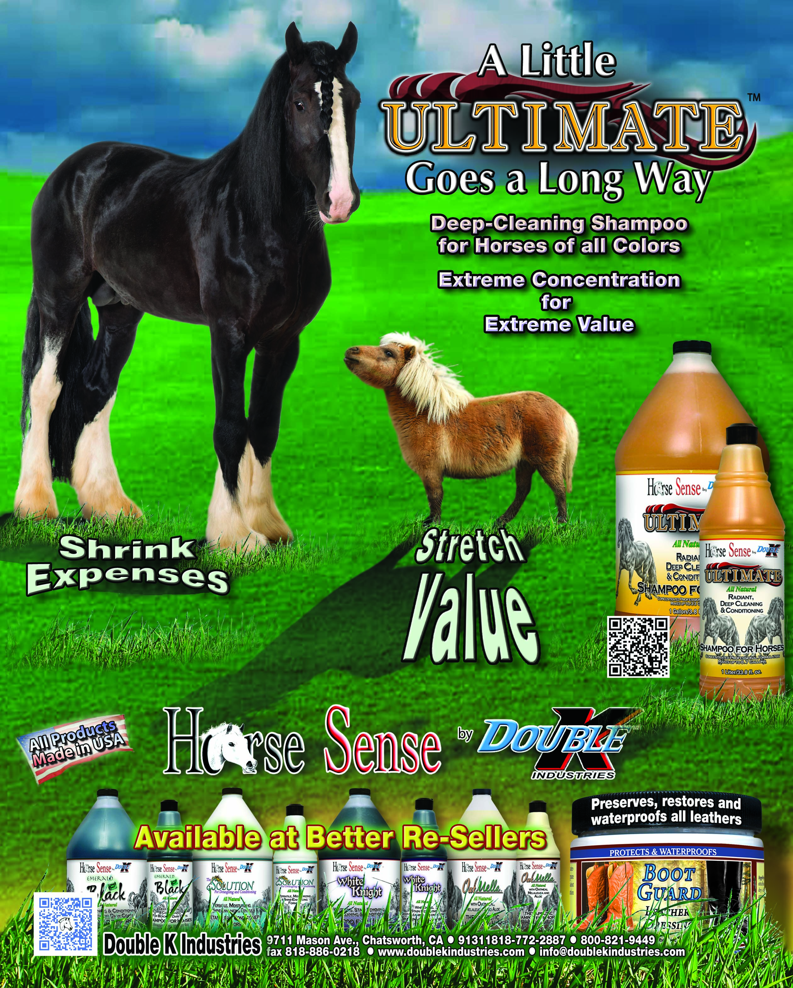 double k product brochures and flyers to print horse flyers